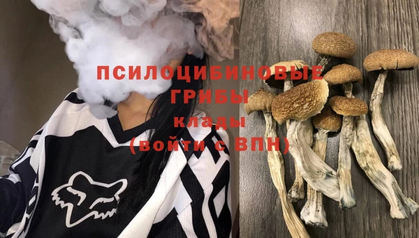 2c-b Алексин