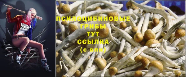 2c-b Алексин