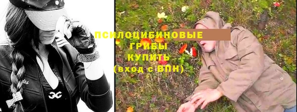 apvp Алексеевка