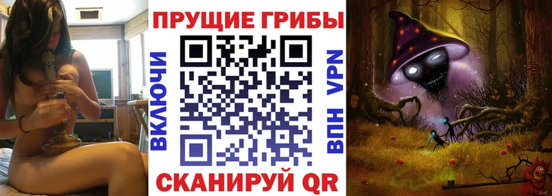 Псилоцибиновые грибы Magic Shrooms Катав-Ивановск